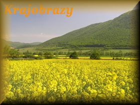 krajobraz_intro