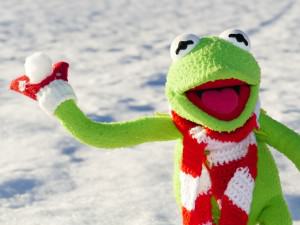 kermit-rzut